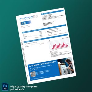 Argentina Endesa Energ A S A Editable Utility Bill Template in Word and PDF formats