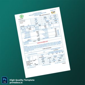Bangladesh Chittagong Electric Supply Authority Editable Utility Bill Template in Word and PDF formats