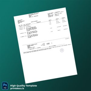 Bangladesh Dutch-Bangla Bank Limited Bank Statement Template in Word and PDF formats