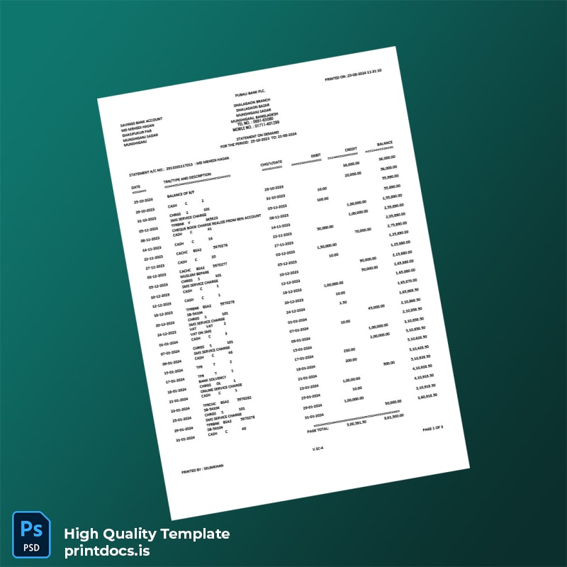 Bangladesh Pubali Bank PLC Statement Template in Word and PDF formats