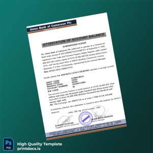 Cameroon Union Bank of Cameroon Plc Bank Statement Template in Word and PDF formats