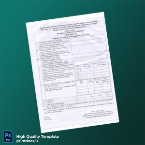 Printable Employment Certificate by the Registration Trade Union Image Preview - PrintDocs