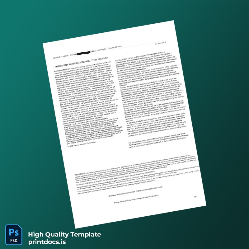 Empty Bank Statement Template in Word and PDF formats page 2