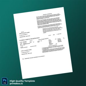 Printable Florida Department of Highway Safety Vehicle Registration Certificate Template (Word & PDF) Image Preview - PrintDocs