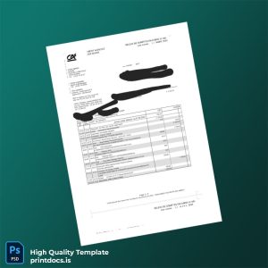 France Crédit Agricole Bank Statement Template in Word and PDF formats