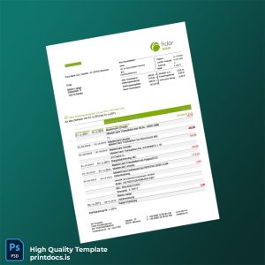 Germany Fidor Bank Statement Template in Word and PDF formats