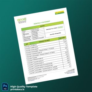 India CapFloat Bill Statement Template in Word and PDF formats
