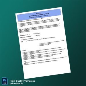 Printable India Central Excise Registration Certificate Template (Word & PDF) Image Preview - PrintDocs