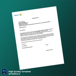 Printable India Flipkart Appointment Letter With Deputation Template (Word & PDF) Image Preview - PrintDocs