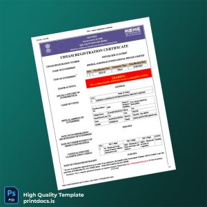 Printable India Ministry of Micro Small and Medium Enterprises MSME Registration Certificate Template (Word & PDF) Image Preview