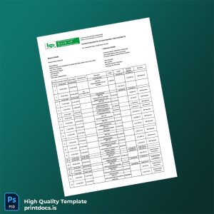 India Oriental Bank of Commerce Bank Statement Template in Word and PDF formats