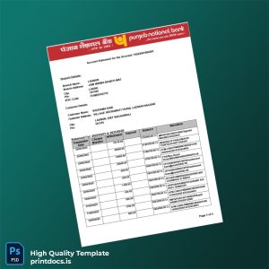India Punjab National Bank Statement Template in Word and PDF formats