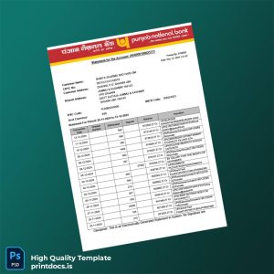 India Punjan Bank Statement Template in Word and PDF formats
