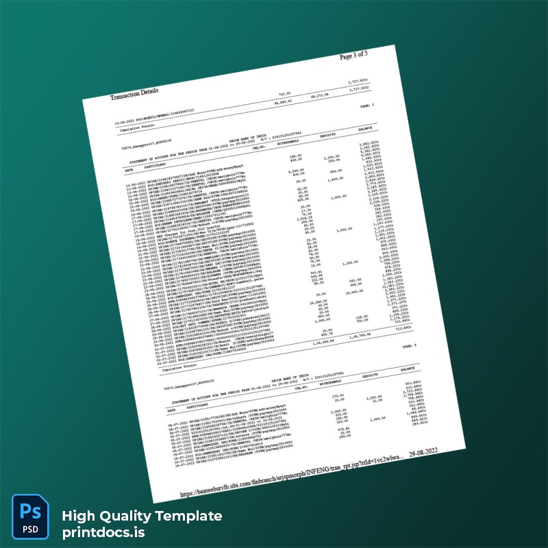 India Union Bank of India Bank Statement Template in Word and PDF formats page 3