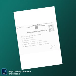 Printable India University Registration Certificate Template (Word & PDF) Image Preview - PrintDocs