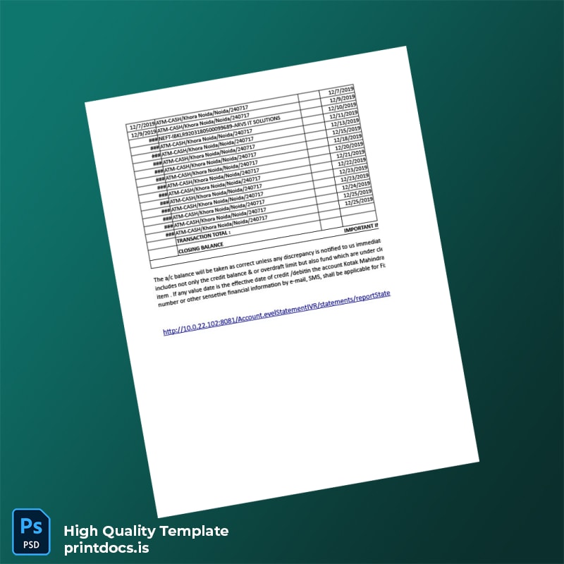 India Visa Inc Bank Statement Template in Word and PDF formats page 2