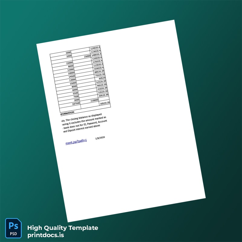 India Visa Inc Bank Statement Template in Word and PDF formats page 4