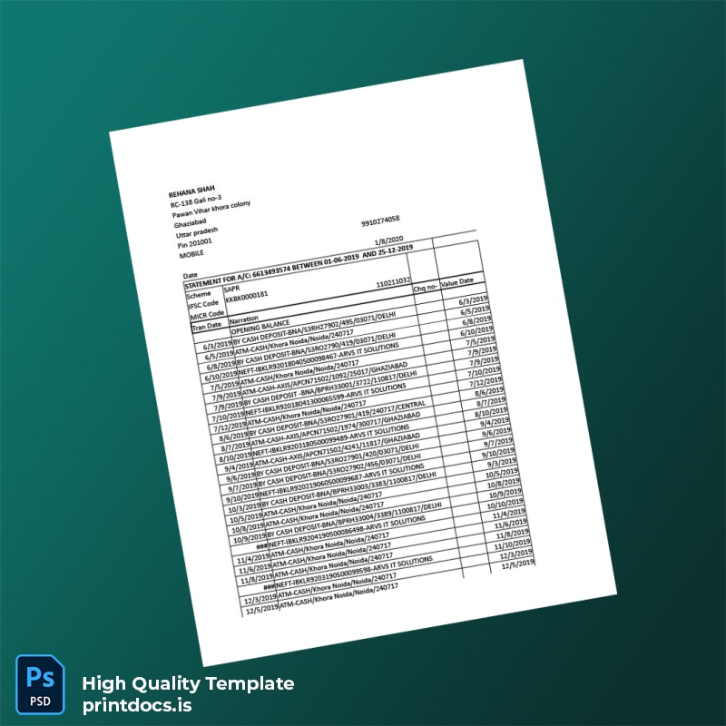 India Visa Inc Bank Statement Template in Word and PDF formats