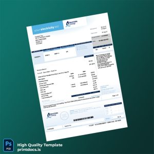 Ireland Bord G Is Energy Editable Electricity Bill Template in Word and PDF formats