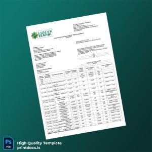 Kazakhstan Halyk Bank Credit Card Statement Template in Word and PDF formats