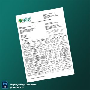 Kazakhstan Halyk Savings Bank Account Statement Template in Word and PDF formats