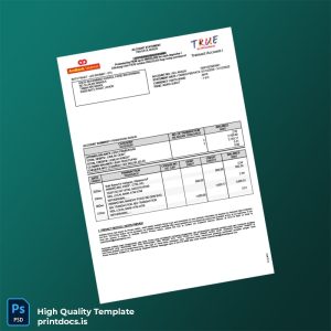 Malaysia AmBank E-Statement Template in Word and PDF formats