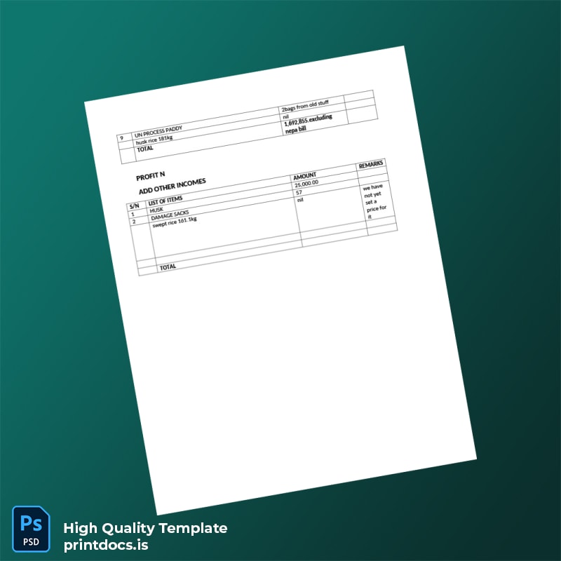 NEPA Editable Profitability Analysis Template in Word and PDF formats page 2
