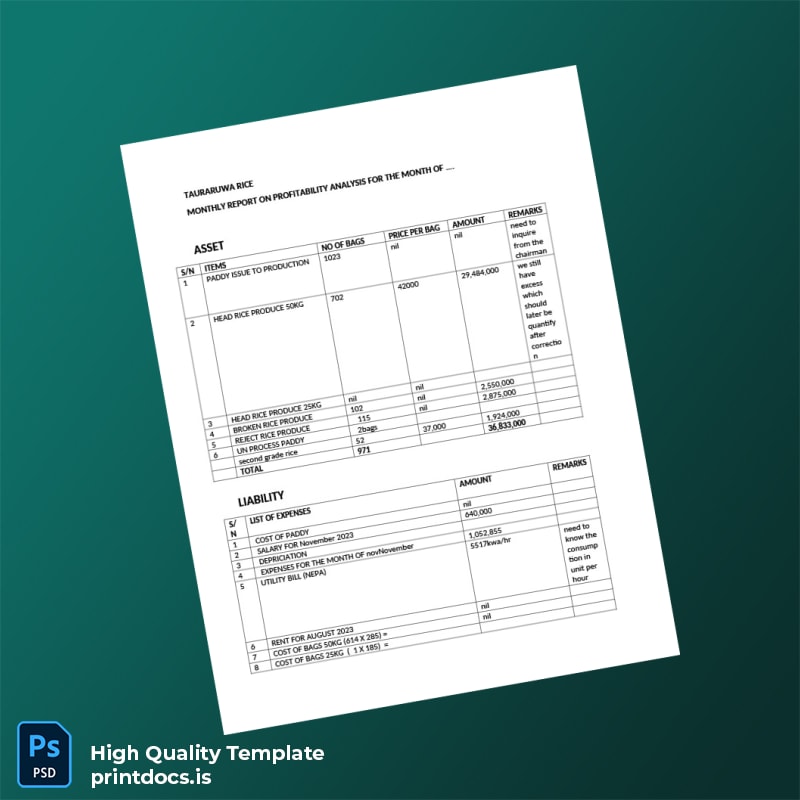 NEPA Editable Profitability Analysis Template in Word and PDF formats