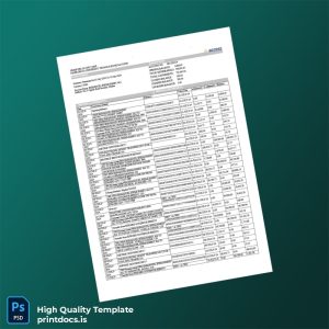 Nigeria Access Bank Bank Statement Template in Word and PDF formats