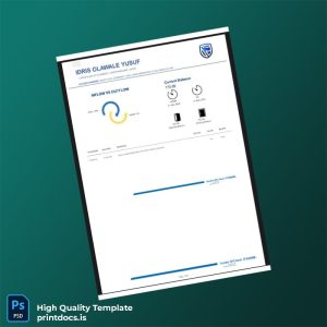 Nigeria Stanbic IBTC Bank Statement Template in Word and PDF formats