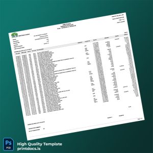 Pakistan MCB Bank Limited Bank Statement Template in Word and PDF formats