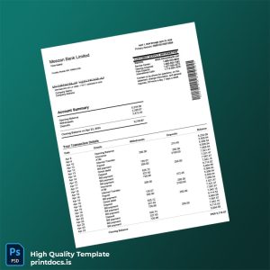 Pakistan Meezan Bank Bank Statement Template in Word and PDF formats