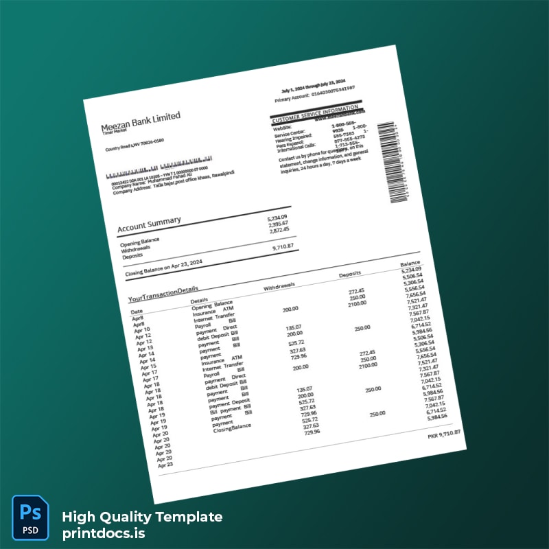 Pakistan Meezan Bank Statement Template in Word and PDF formats