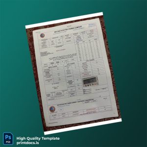 Pakistan Multan Electric Power Company Editable Electricity Bill Template in Word and PDF formats