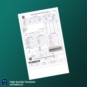 Pakistan Peshawar Electric Supply Company PESCO Editable Electricity Bill Template in Word and PDF formats