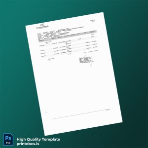 Pakistan Soneri Bank Bank Statement Template in Word and PDF formats