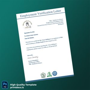 Printable Pakistan VIRA Healthcare of Future Employment Verification Letter Template (Word & PDF) Image Preview - PrintDocs