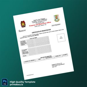 Printable Philippines Firearms and Explosives Office Airgun Registration Certificate Template (Word & PDF) Image Preview