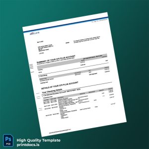 Singapore Citi Bank Statement Template in Word and PDF formats