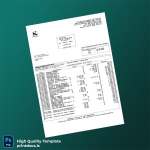 South Africa Nedbank Bank Statement Template in Word and PDF formats