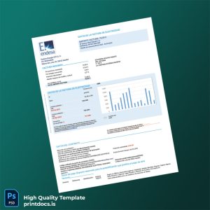Spain Endesa Energia XXI S L U Editable Electricity Bill Template in Word and PDF formats