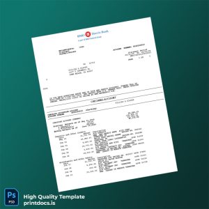 USA BMO Bank Statement Template in Word and PDF formats