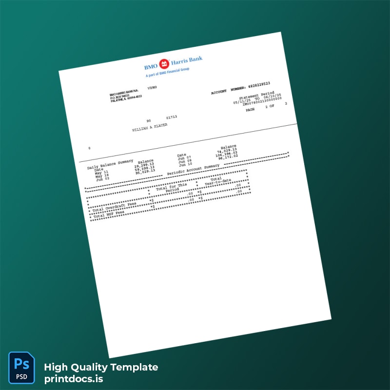 USA BMO Bank Statement Template in Word and PDF formats page 2