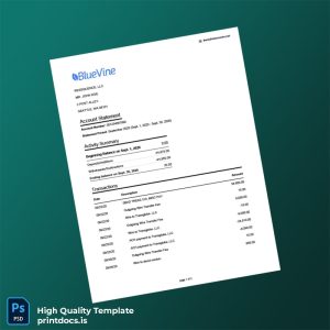 USA Bluevine Bank Statement Template in Word and PDF formats