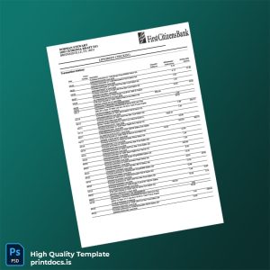 USA First Citizen Bank Statement Template in Word and PDF formats