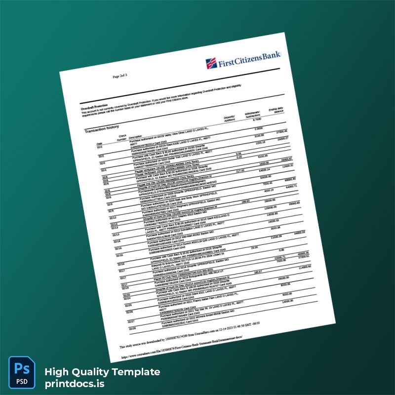 USA First Citizens Bank Statement Template in Word and PDF formats page 2