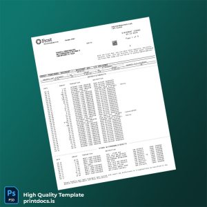 USA Frost Bank Statement Template in Word and PDF formats