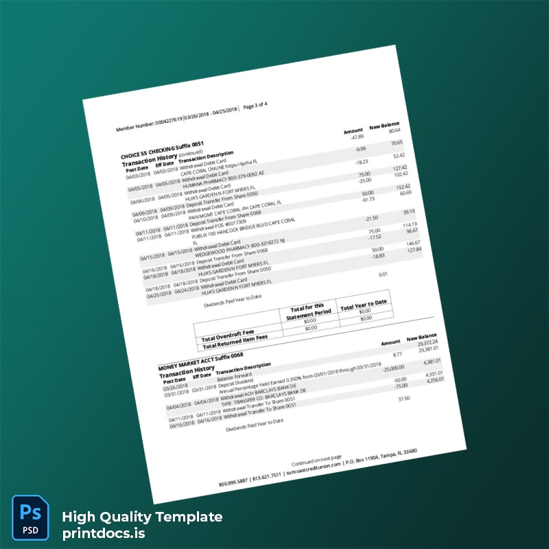 USA Suncoast Bank Statement Template in Word and PDF formats page 3