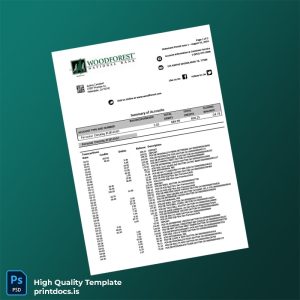 USA Woodforest Bank Statement Template in Word and PDF formats
