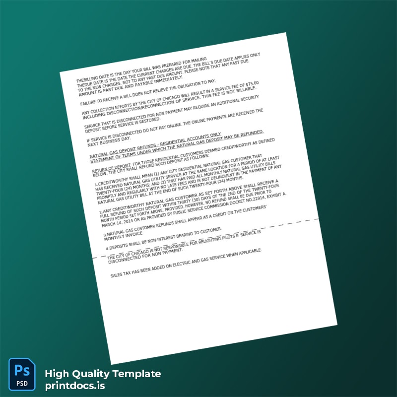 United States Akash Mahalaxmi Editable Utility Bill Template in Word and PDF formats page 3